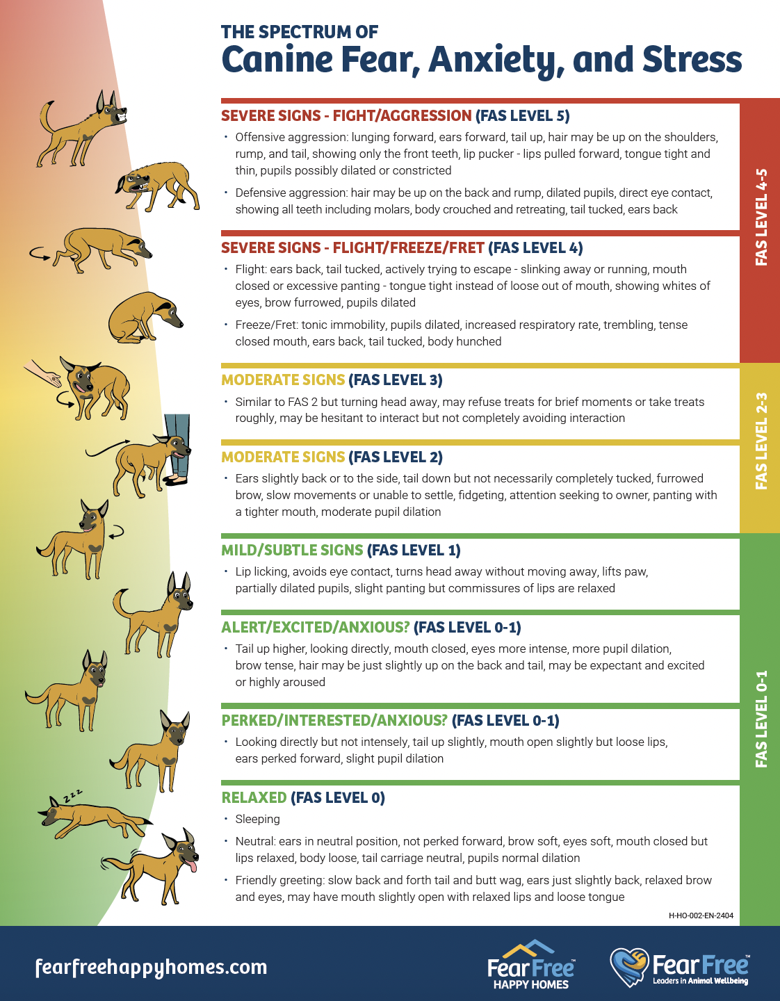 Picture of How to Recognize Fear, Anxiety, and Stress in Your Dog | Fear Free ...